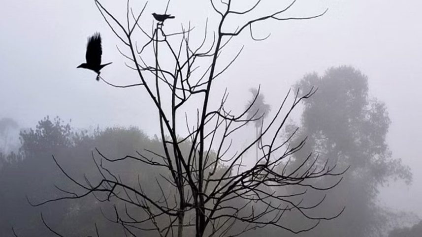 winter.jpg