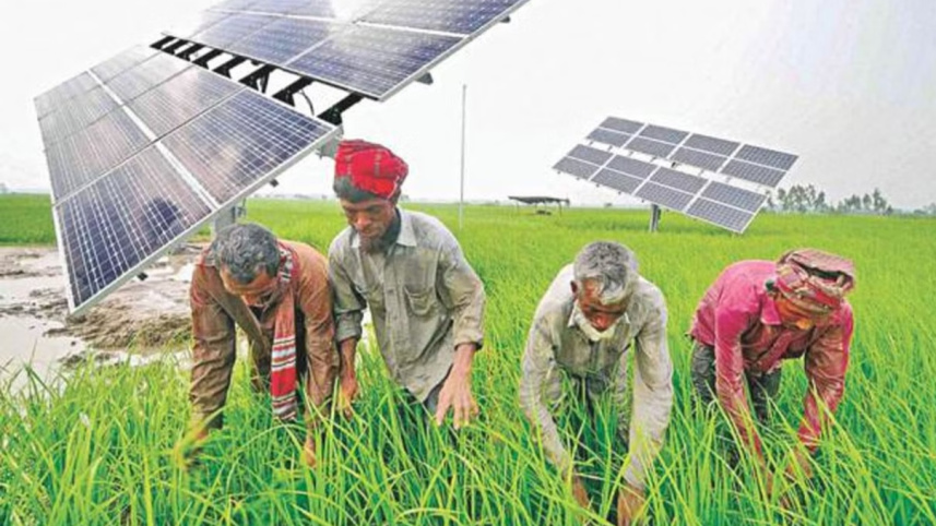 irrigation.jpg