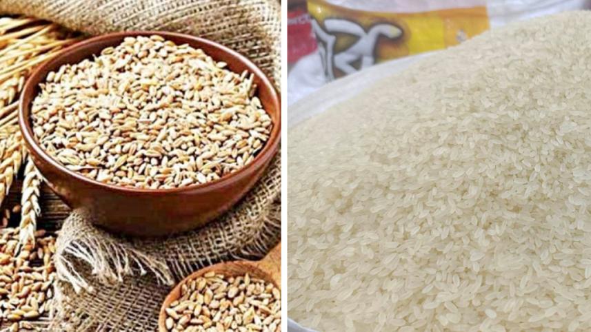 rice-01.jpg