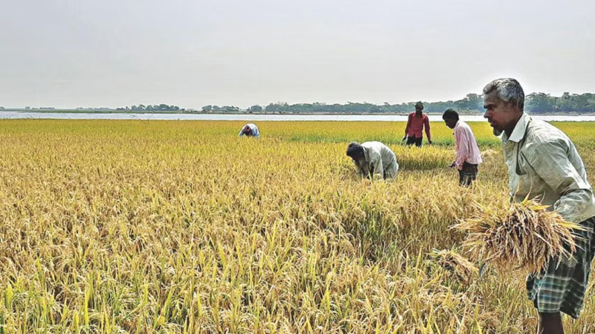 agri.jpg