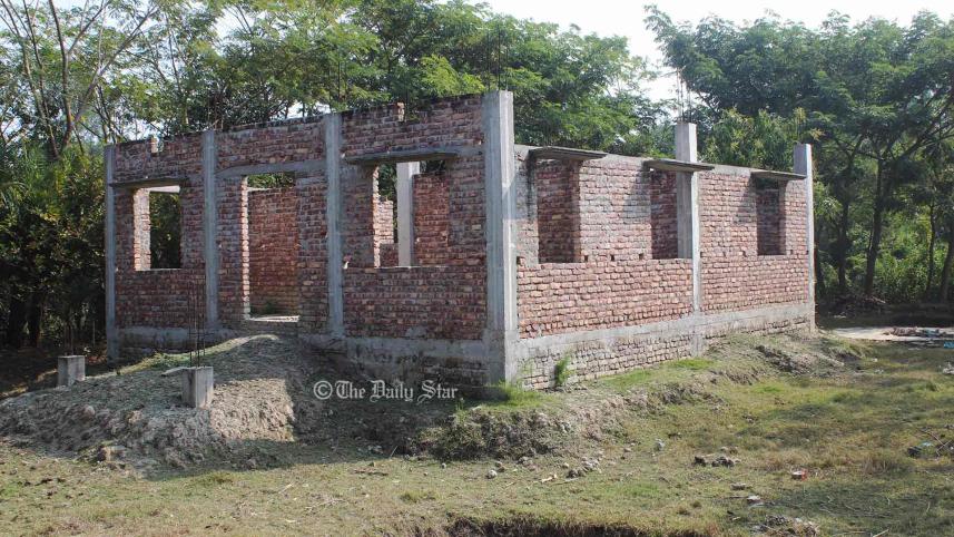 বন কেটে ঘর