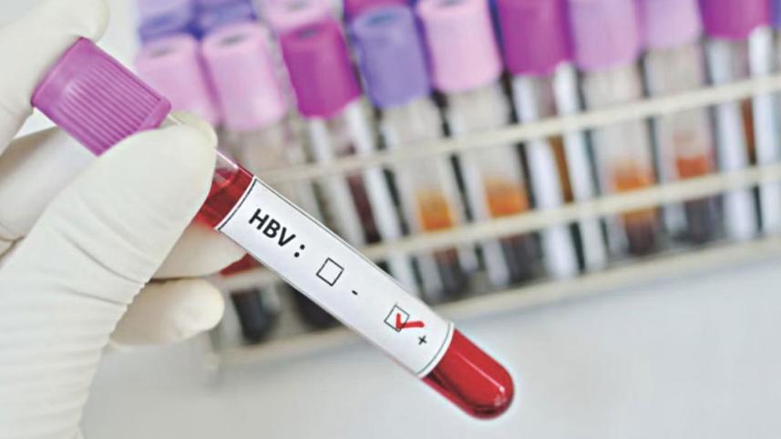 hbv.jpg