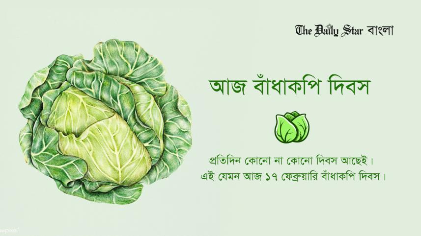 বাঁধাকপি, বিচিত্র দিবস, দিবস,