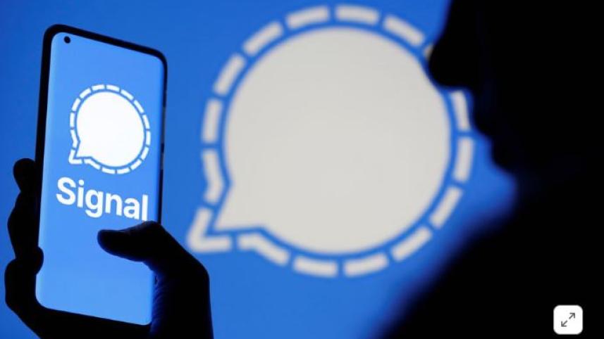 signal.jpg