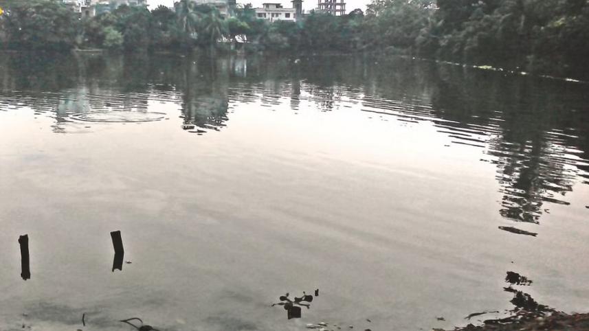 ponds.jpg