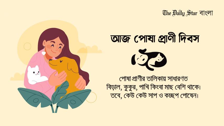 দিবস, বিচিত্র দিবস, পোষা প্রাণী দিবস,