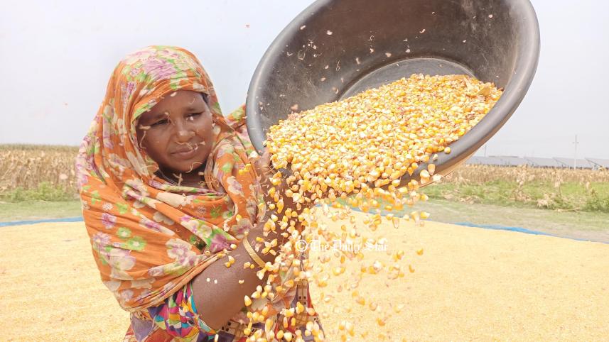 maize_farming-02.jpg