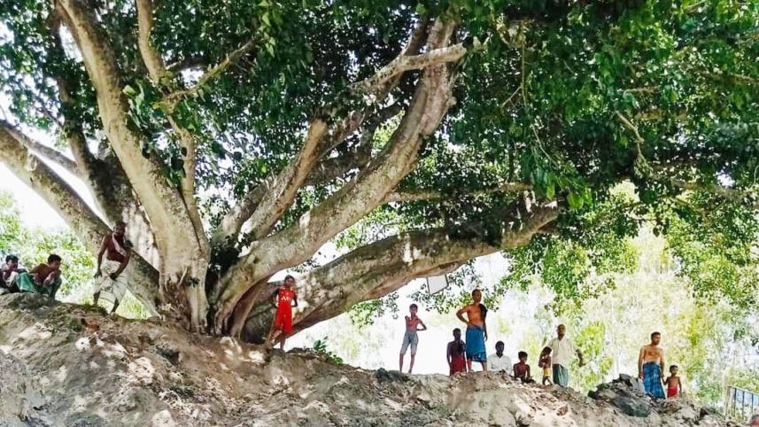 tangail-environment.jpg