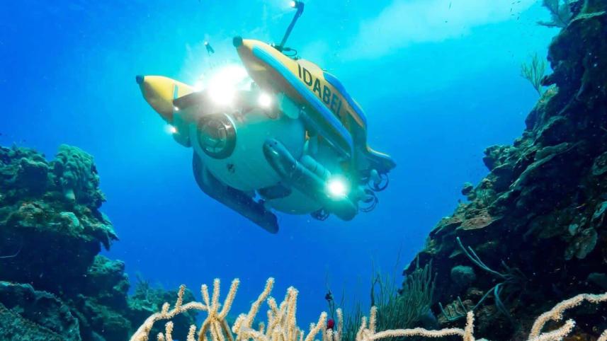 roatan-submarine-excursion.jpg