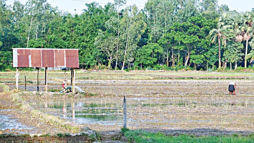 জাতিসংঘ, বিশ্ব আবহাওয়া সংস্থা, তাপপ্রবাহ, এল নিনো, বাংলাদেশ আবহাওয়া অধিদপ্তর,