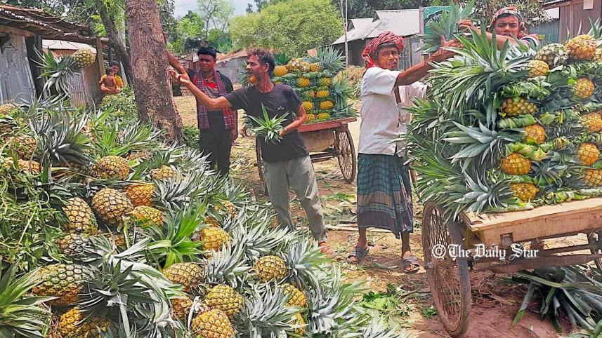 মধুপুরের আনারস