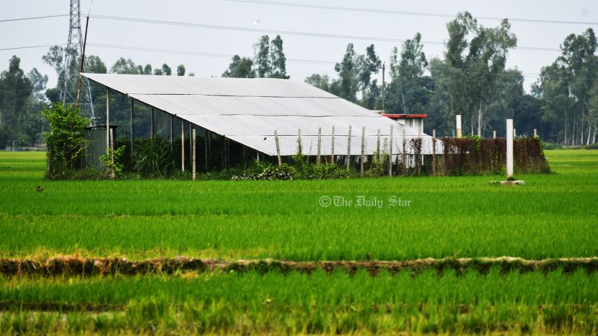 সোলার পাম্প