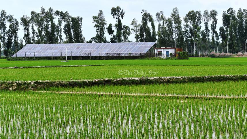 সোলার পাম্প