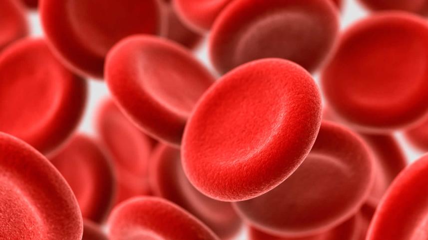 hemoglobin.jpg