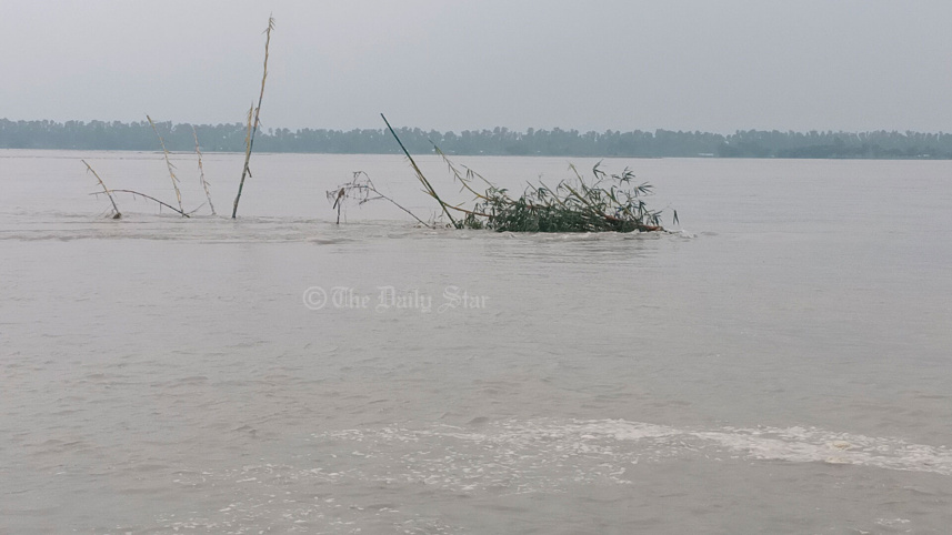 তিস্তার পানি