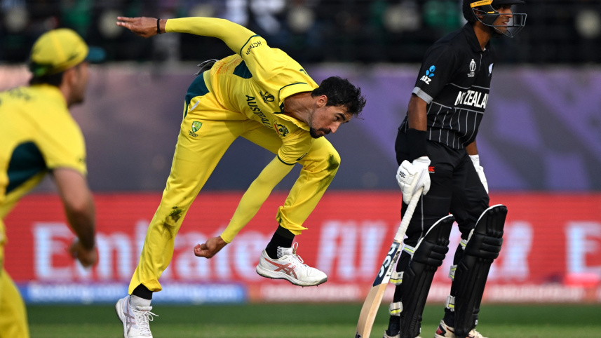 starc.jpg