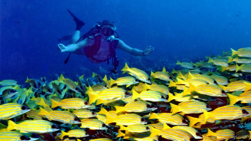 banana_reef.jpg