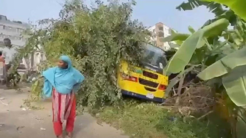 bus.jpg
