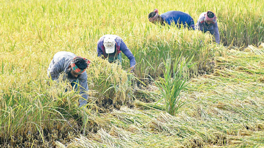 নবান্ন
