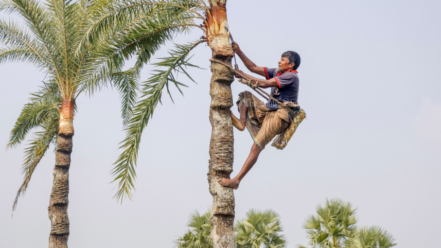 নবান্ন