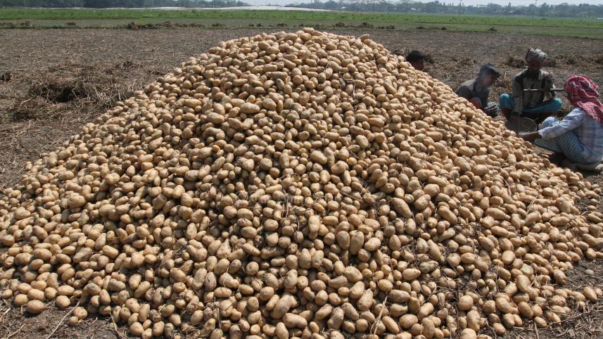 আলুর দাম