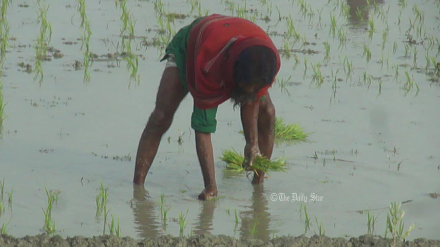 lalmonirhat_cold_farmer-03.jpg