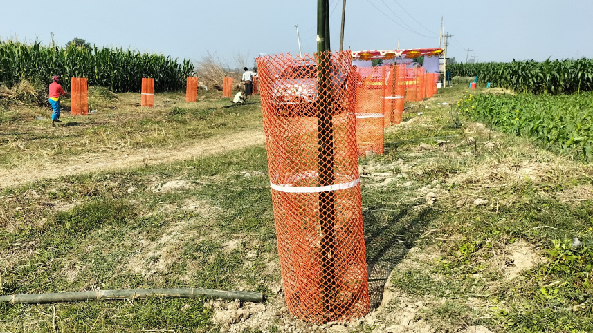 clean-manikganj_green-manikganj-3.jpg