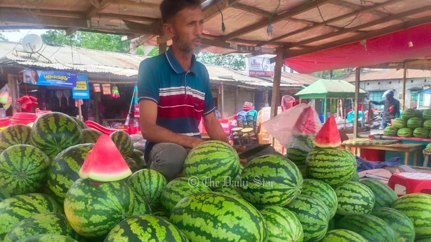 তরমুজ