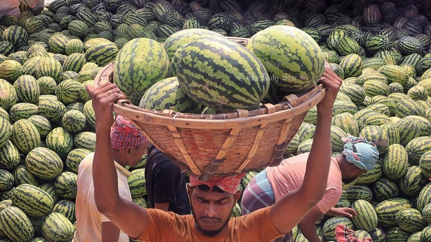 তরমুজ