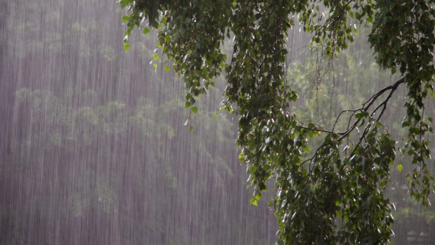 rain.jpg