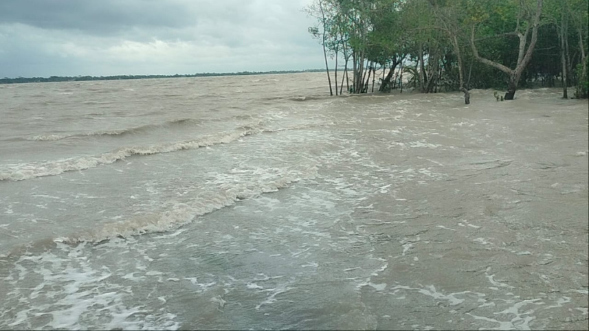পশুর.jpg
