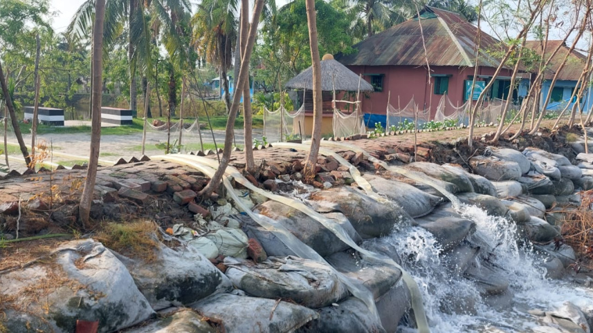 Sundarban