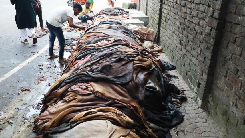 কোরবানি, কোরবানির ঈদ, গরুর চামড়া, কোরবানির চামড়া, কাঁচা চামড়া,