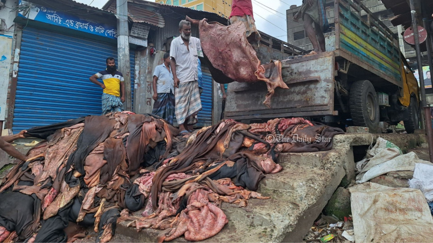 cows_skin.jpg