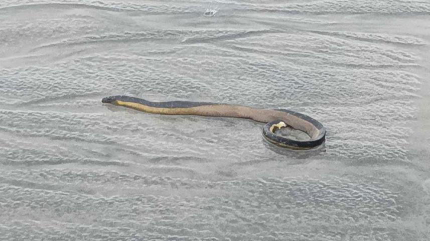 untitled-1.jpg