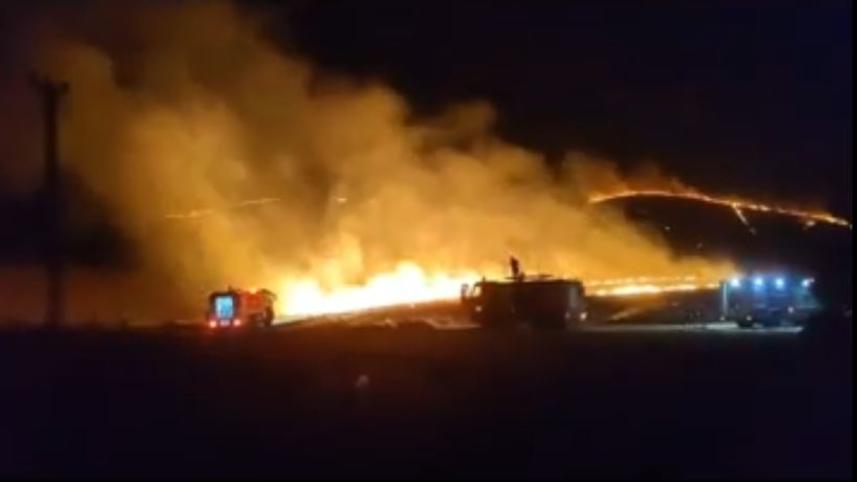 wildfire.jpg