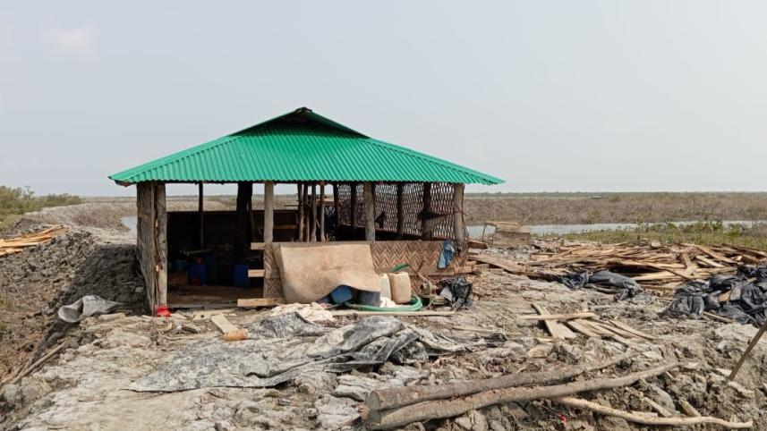 massive_destruction_of_sonadia_mangrove_forest_for_making_shrimp_enclosures_with_report_and_photo_collected_07.jpeg