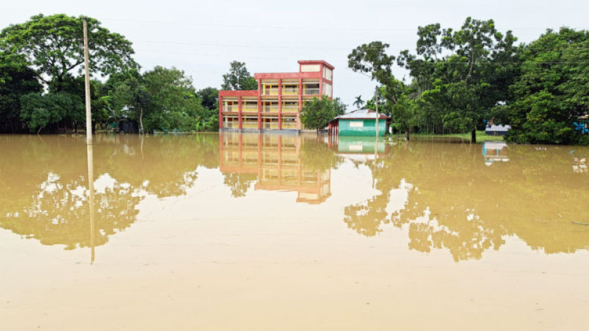 netrakona_fish_sector.jpg