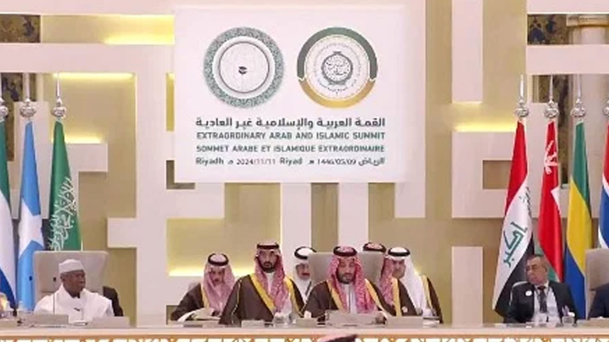 saudi_gaza_11nov24.jpg