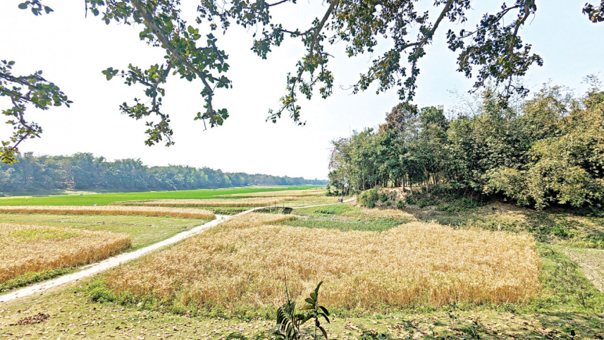 kumar-river.jpg