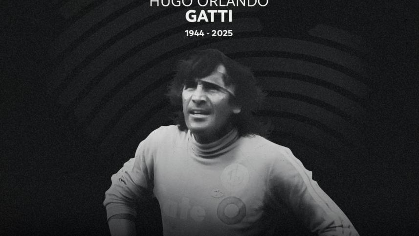 gatti.jpg