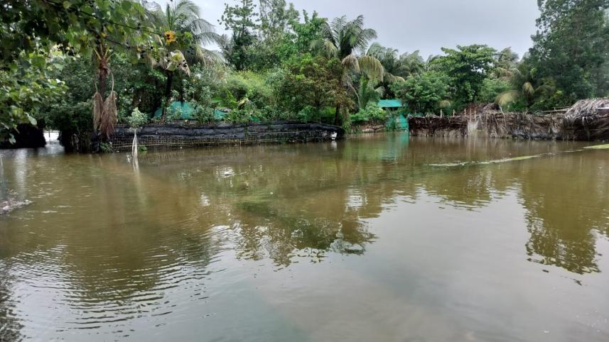 কুতুবদিয়া.jpeg