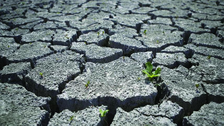 drought-01.jpg