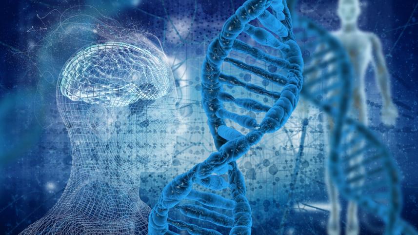 Human DNA
