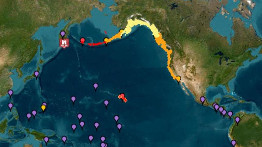 tsunami.jpg