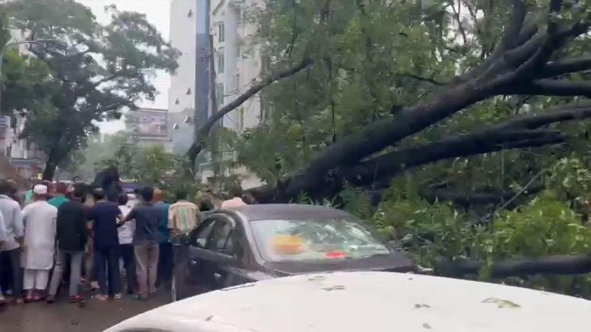 ধানমন্ডি