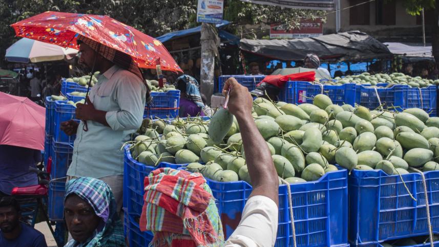 nogaon mango.jpg