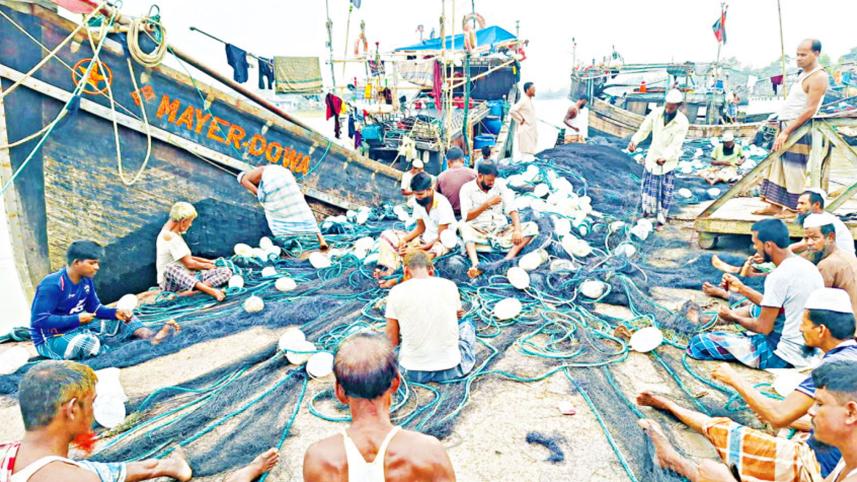hilsa_9oct25.jpg