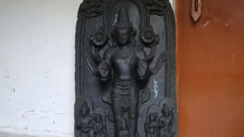 savar.jpg
