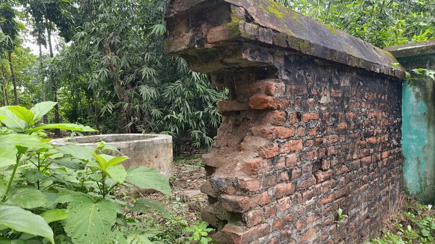 pabna3.jpg